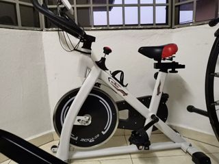 (Category: ) located in . Submitted by fiona655 (Listing ID 1307571281, Image 1). Description: .