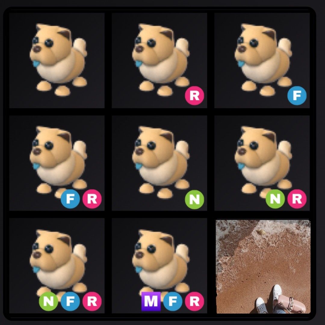 Adopt Me Tan Chow Chow Cheap *, 興趣及遊戲, 玩具& 遊戲類- Carousell