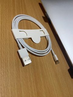 Apple Cable Charger