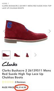Clarks Suede Shoes