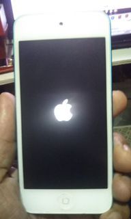 Ipod 5th Generation 3/32gb & 2 Apple wire w/ box Php:1100 (negotiable)