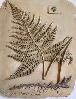 ***ON SALE*** RARE FIND Beautiful Resin Frame For Wall Hanging Hexagon Beech Fern