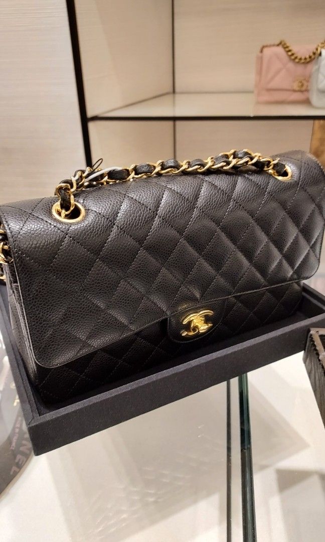 Bags accessories LV Chanel Christian Dior Celine Goyard Polene Loewe YSL etc