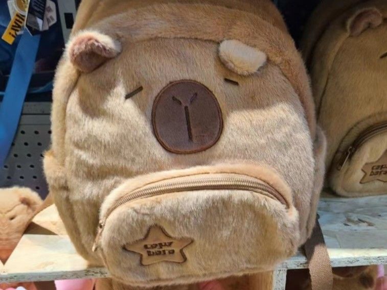 Capybara backpack (Category: Backpacks) located in Klang. Submitted by lynnnn0912 (Listing ID 1307783232, Image 2). Description: brand new ! very fluffy and quality nice bought at price 70.