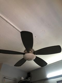 (Category: ) located in . Submitted by dd030695 (Listing ID 1307807457, Image 1). Description: .