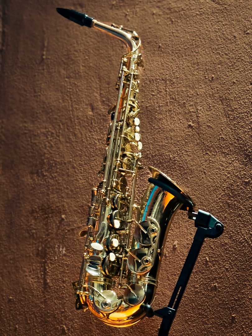 Century Alto Saxophone Hobbies Toys Music Media Musical Instruments on Carousell