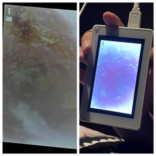 (Category: ) located in . Submitted by dermistalk (Listing ID 1307833438, Image 1). Description: .