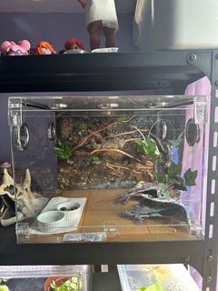 (Category: ) located in . Submitted by stelaes_ (Listing ID 1307801112, Image 1). Description: .
