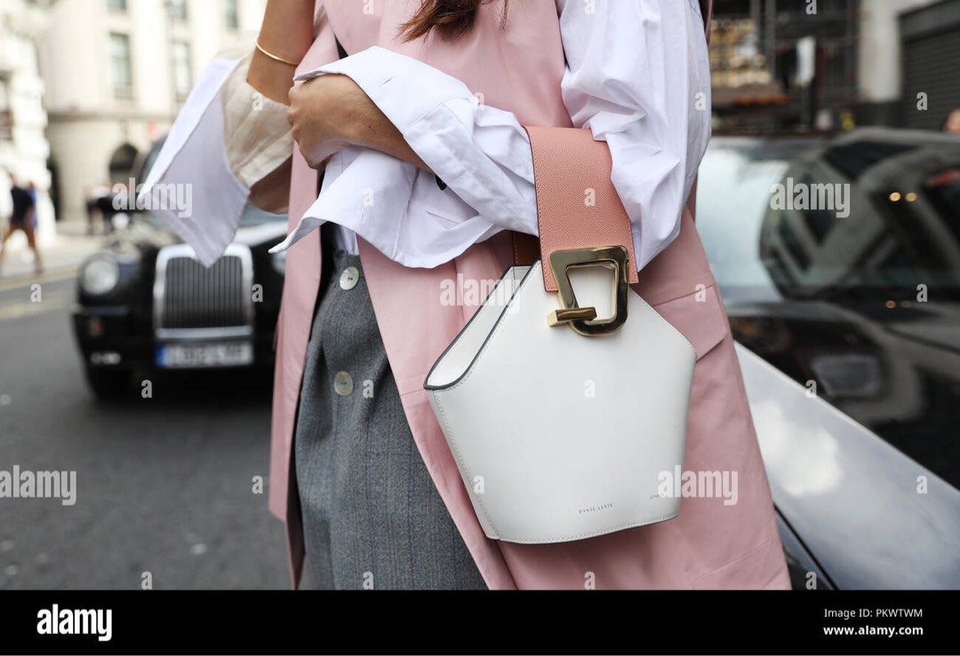 Danes Lente Johnny Bag Luxury Bags Wallets on Carousell