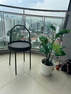 (Category: ) located in . Submitted by karr0o (Listing ID 1311773545, Image 1). Description: .