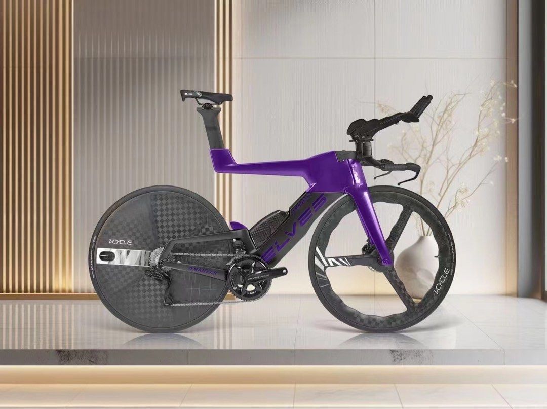 Elves TT Tri bike frameset full bike 5 10k onwards super aero triathlon roadbike custom build