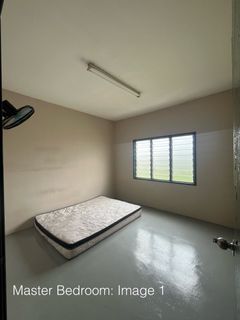 (Category: ) located in . Submitted by geminifarm (Listing ID 1312057860, Image 1). Description: .