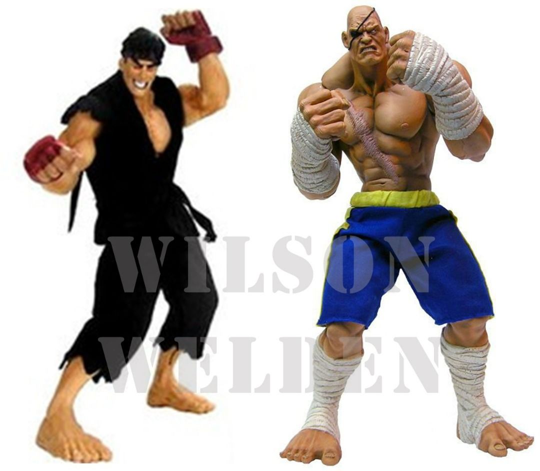 ORIGINAL SOTA TOYS STREET FIGHTER - EVIL RYU & SAGAT 9-INCHES FIGURES ...