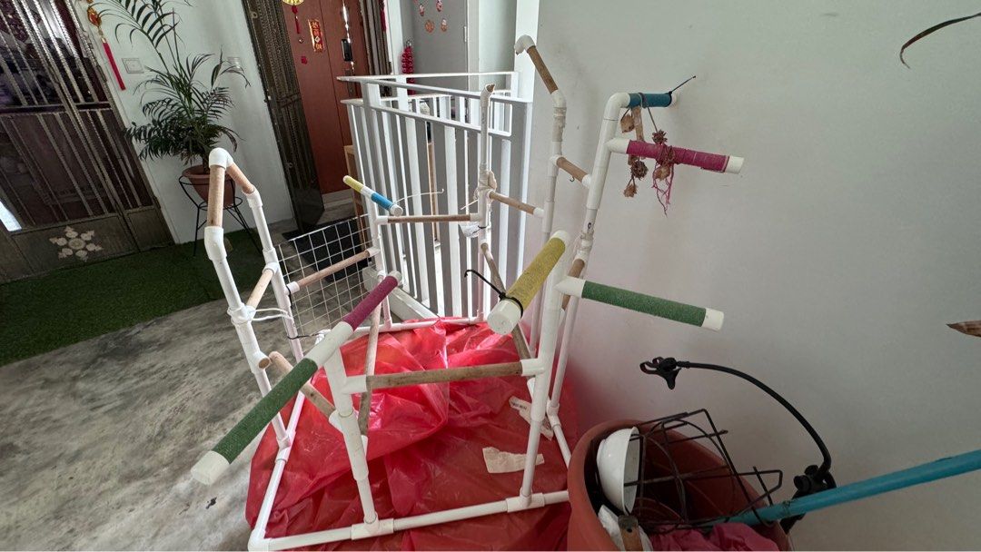 Play gym for parrot