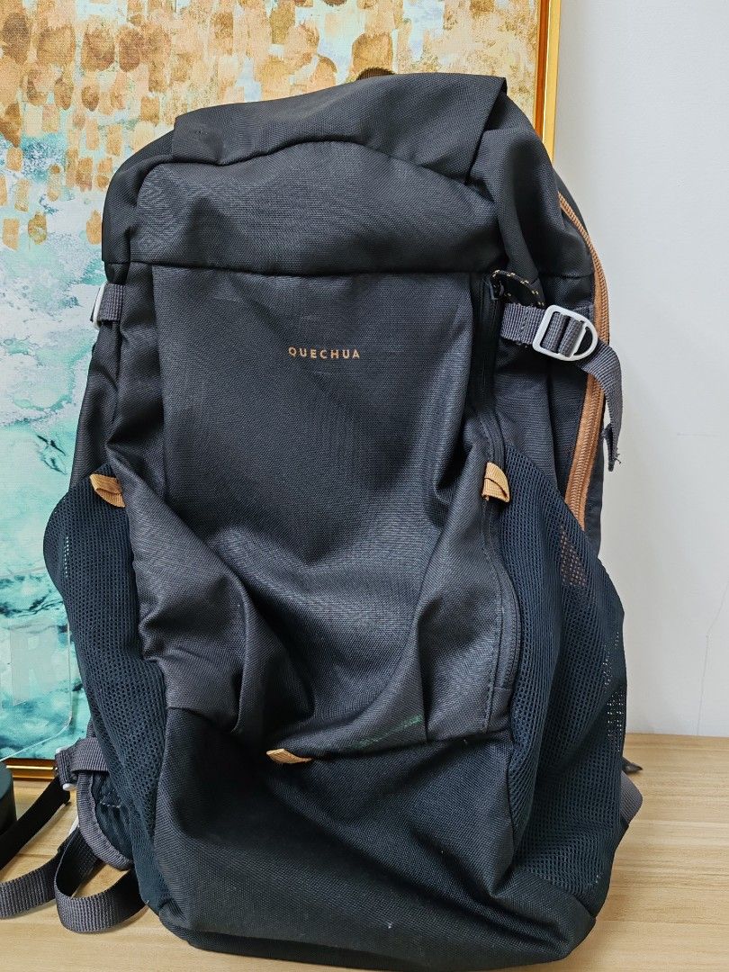 Quechua Decathlon Brand Backpack For Free Men s Fashion Bags Backpacks on Carousell