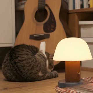 (Category: ) located in . Submitted by chinselection (Listing ID 1313500979, Image 1). Description: .