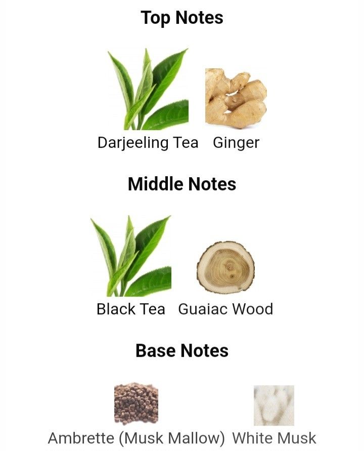 Bvlgari darjeeling tea clearance