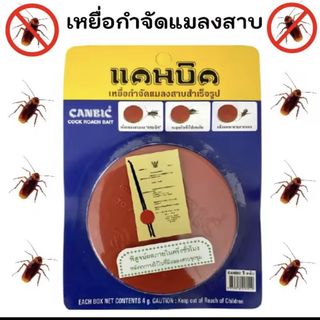 （分類：）位於 。 由 easybuythailand 提交（商品編號 1313720826，圖片 1）。簡介： 。