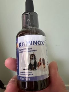 （分類：）位於 。 由 doggy_tt 提交（商品編號 1313696740，圖片 1）。簡介： 。