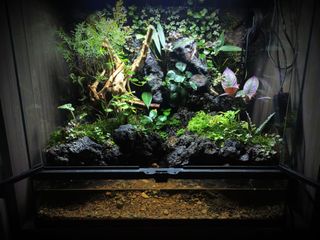 (Category: ) located in . Submitted by Fortune_Green_Design (Listing ID 1313758639, Image 1). Description: .