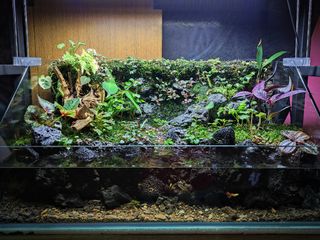 (Category: ) located in . Submitted by Fortune_Green_Design (Listing ID 1313759010, Image 1). Description: .
