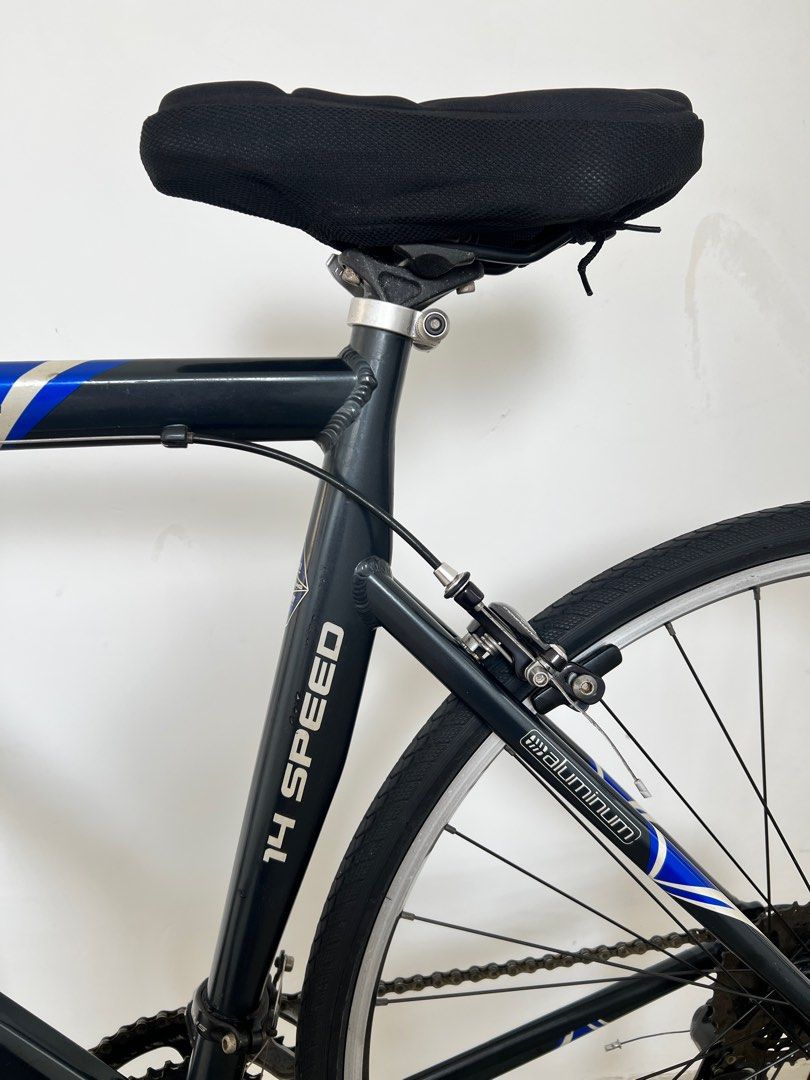 WTS WTT Schwinn Katana 14 Speed Upgraded