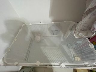 （分類：）位於 。 由 soooo_warm2021 提交（商品編號 1313910089，圖片 1）。簡介： 。