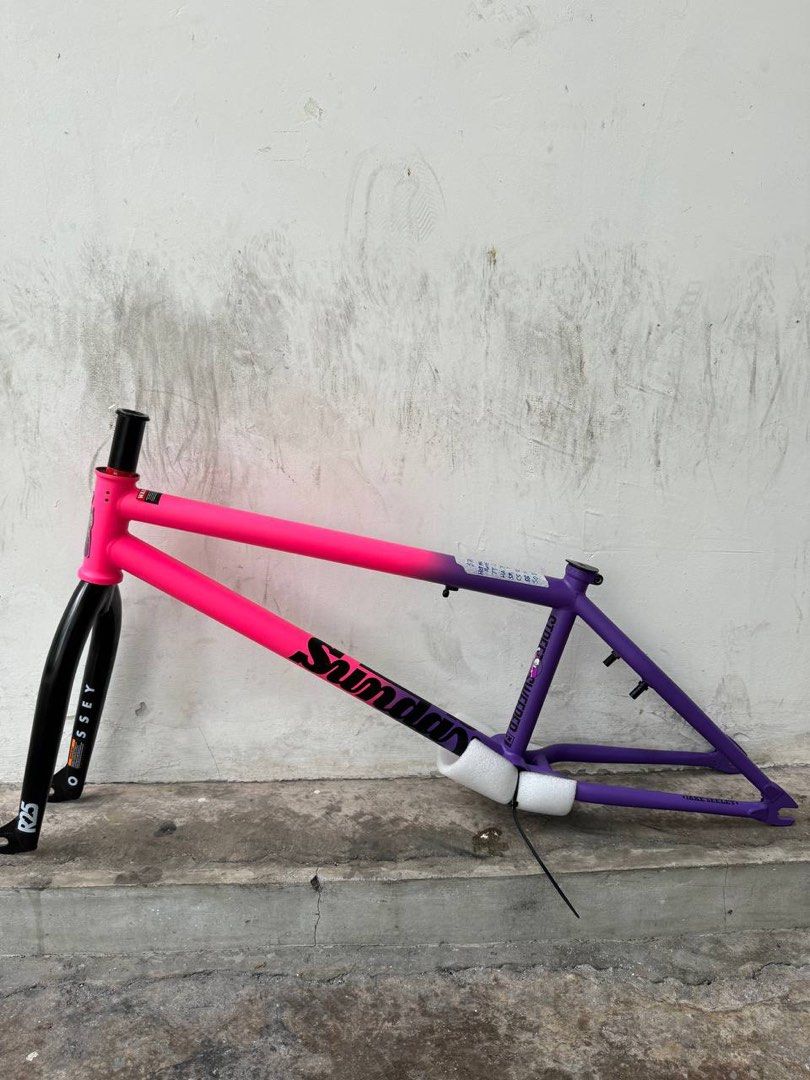 BMX Sunday Street Sweeper Frame, Sports Equipment, Bicycles