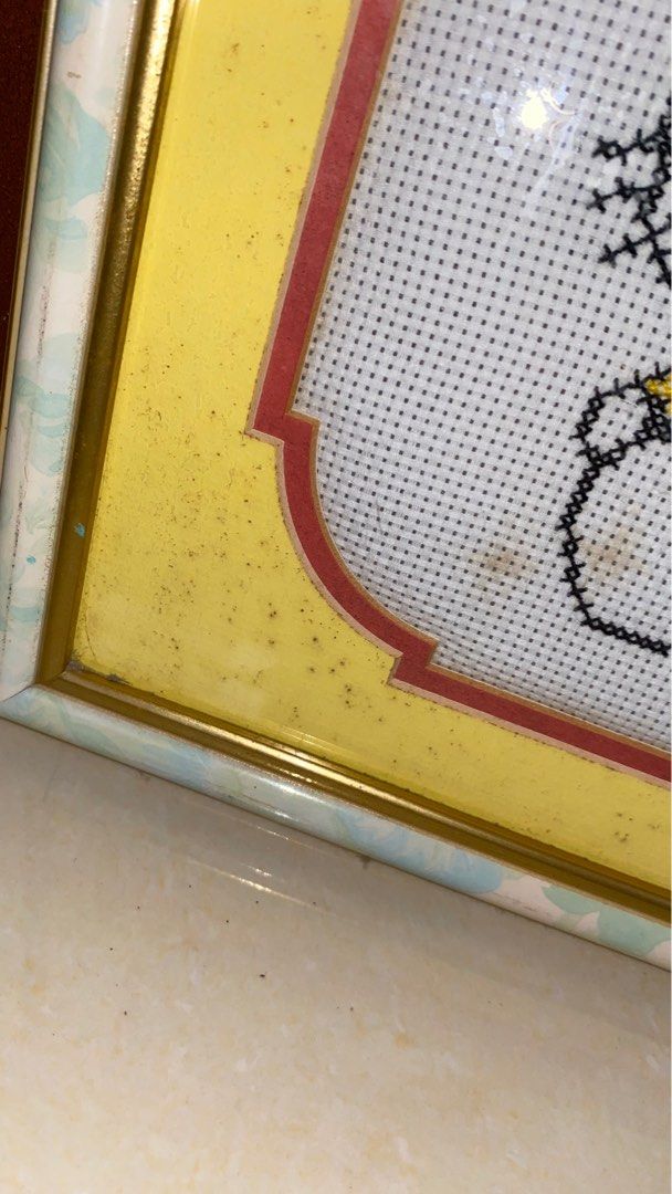 Hello Kitty Cross-stitch (Category: Frames & Pictures) located in Cavite. Submitted by eessaa08 (Listing ID 1313859170, Image 2). Description: Hello Kitty Cross-stitch with frame Issue: needs cleaning inside for borders, with stain in Cross-stitch cloth, Dimension: 15.6” x 16” RFS: Decluttering MOP: GCash MOD: Lalamove only (buyer to pay for shipping fee).