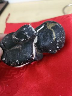 (Category: ) located in . Submitted by wojakhaha (Listing ID 1313888715, Image 1). Description: .