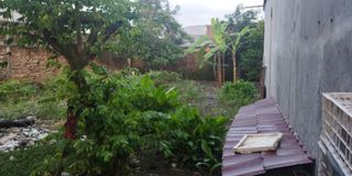 (Kategori: ) berada di . Dikirim oleh veranova (ID iklan 1313871623, Gambar 1). Deskripsi: .