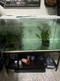 (Category: ) located in . Submitted by cactusjack1 (Listing ID 1314158281, Image 1). Description: .