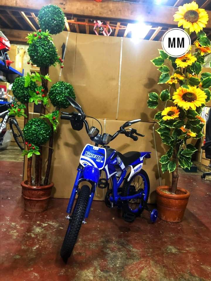 bike enduro type (Category: Bicycles) located in Manila. Submitted by saguittarian06 (Listing ID 1313977900, Image 3). Description: ₱2,800 Manual enduro type bike 16 inch 6-12 yrs old.