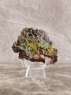 (Category: ) located in . Submitted by desmondwu (Listing ID 1314040767, Image 1). Description: .