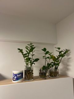 （分類：）位於 。 由 kathy0007 提交（商品編號 1314149796，圖片 1）。簡介： 。