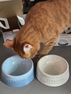 （分類：）位於 。 由 samuelfwk 提交（商品編號 1314075798，圖片 1）。簡介： 。