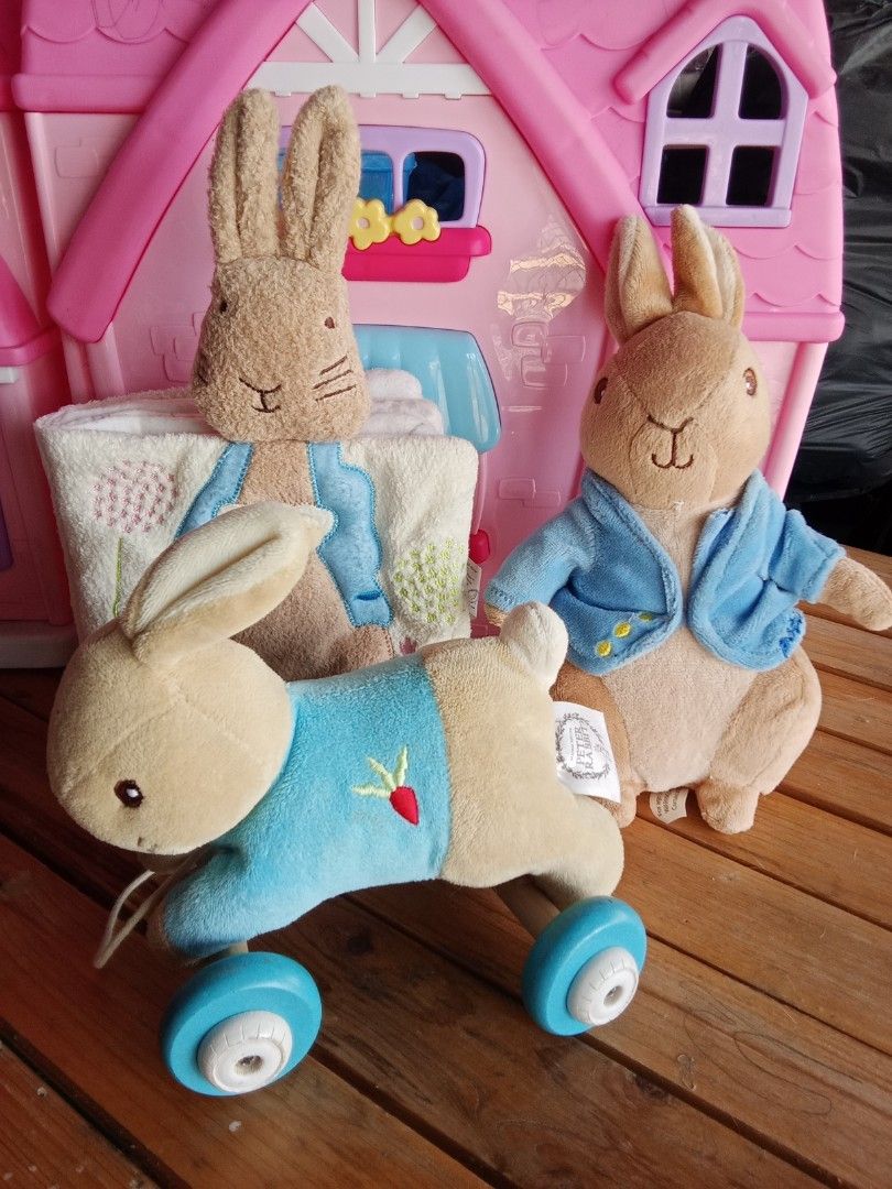 Peter Rabbit pull a long soft book, Hobbies & Toys, Toys & Games on ...