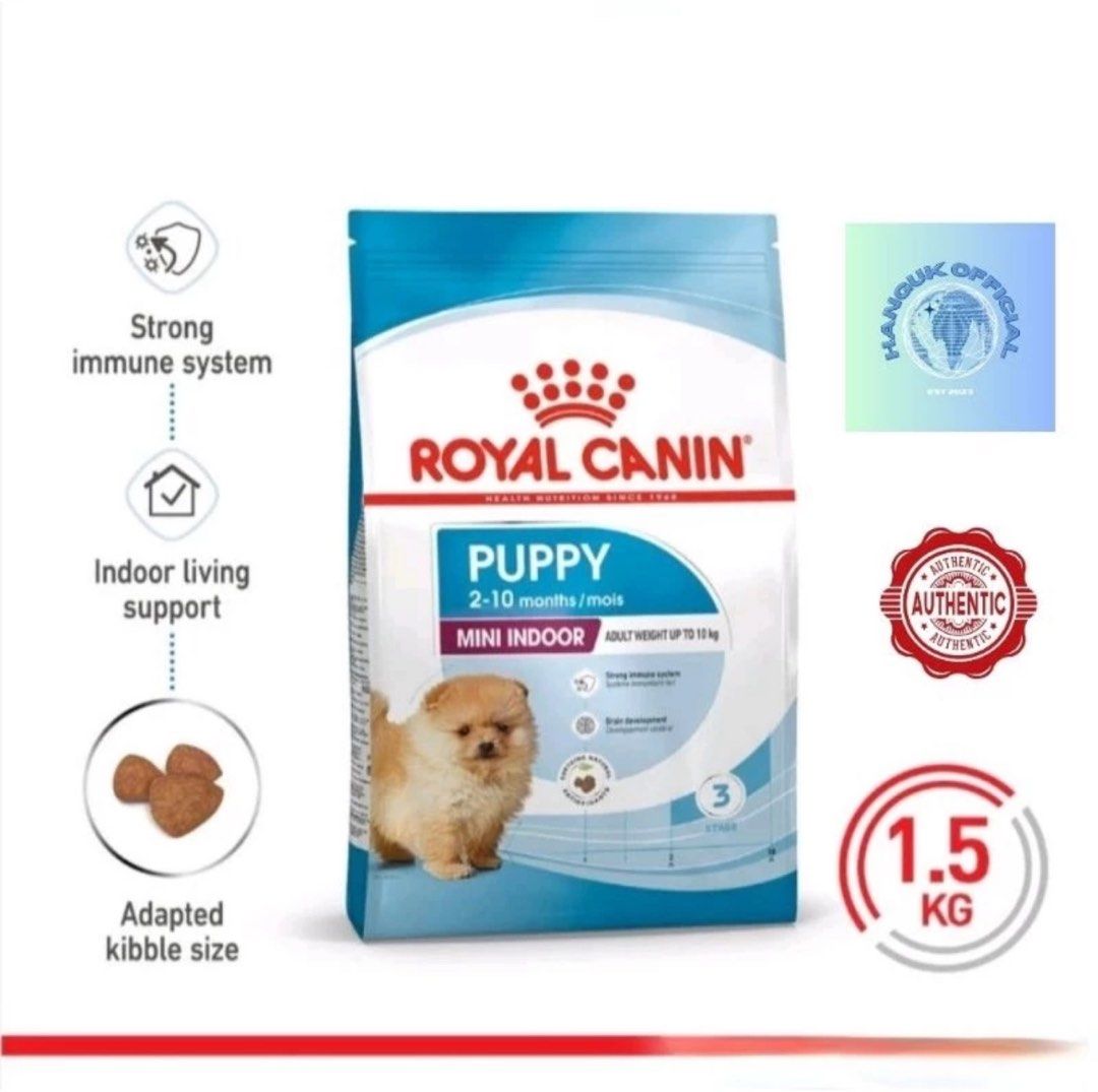 Best indoor dog food outlet