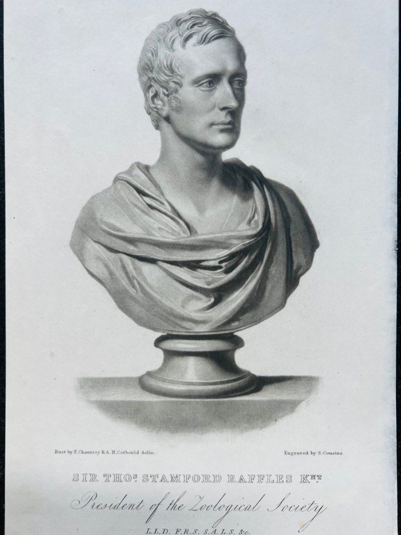 1830 Sir Thomas Stamford Raffles Engraving Bust Orignal (Singapore ...