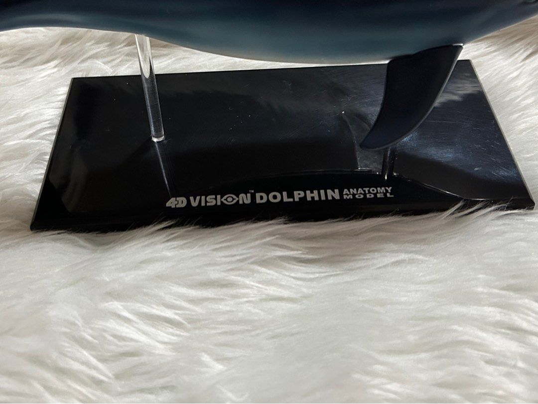 4D Vision Dolphin Anatomy Model (Category: Medical Supplies & Tools) located in Pasig City. Submitted by mixpicks (Listing ID 1314278826, Image 3). Description: 5-6” long.