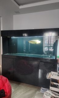 (Category: ) located in . Submitted by wilchanelle (Listing ID 1314290285, Image 1). Description: .