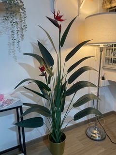 (Category: ) located in . Submitted by yelloowww (Listing ID 1314314707, Image 1). Description: .