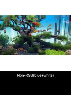 (Category: ) located in . Submitted by canopyrooms (Listing ID 1314171388, Image 1). Description: .