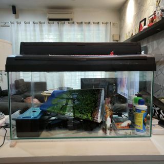 (Category: ) located in . Submitted by eddyloh76 (Listing ID 1314297755, Image 1). Description: .