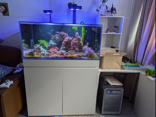 (Category: ) located in . Submitted by kerny572 (Listing ID 1314228225, Image 1). Description: .