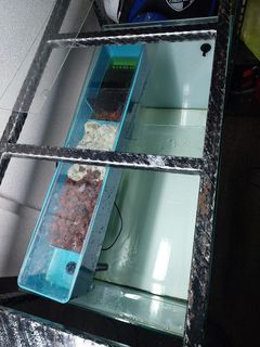 (Category: ) located in . Submitted by indra5555 (Listing ID 1314408306, Image 1). Description: .