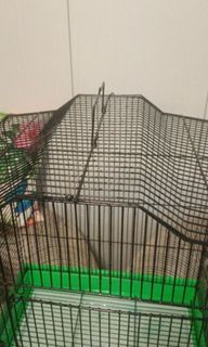 (Category: ) located in . Submitted by mkr5252 (Listing ID 1314546728, Image 1). Description: .