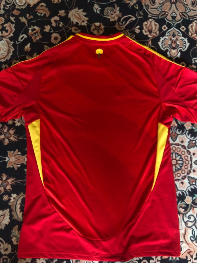 Spain Euro 2024 Kit, Men's Fashion, Activewear on Carousell