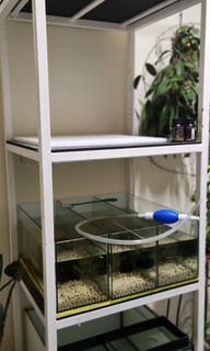 (Category: ) located in . Submitted by br14n75 (Listing ID 1314489318, Image 1). Description: .