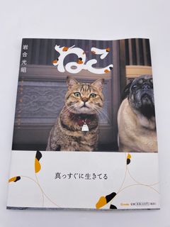 （分類：）位於 。 由 scorpio_dinner 提交（商品編號 1314728540，圖片 1）。簡介： 。